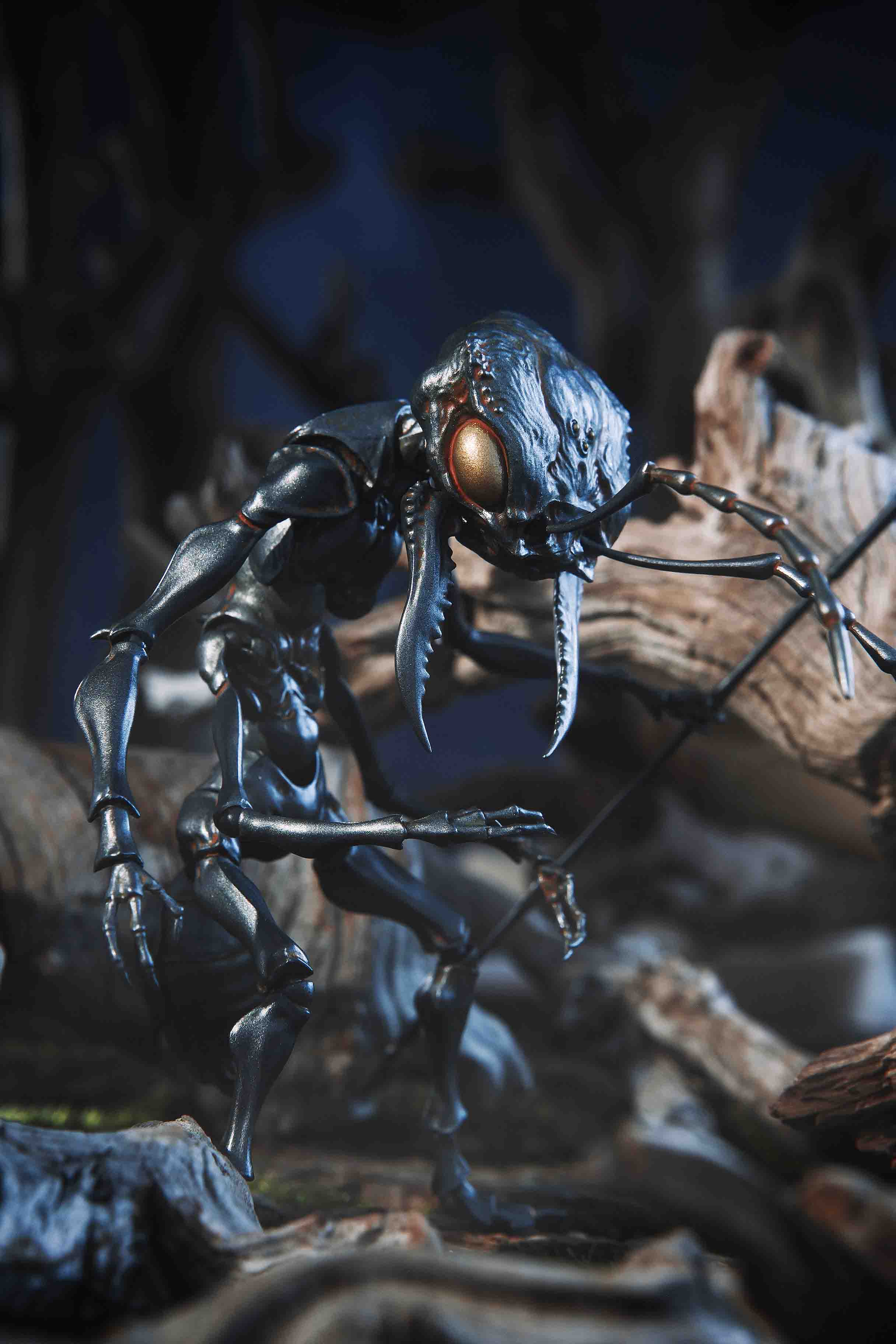 Snail Shell - Ant Soldier