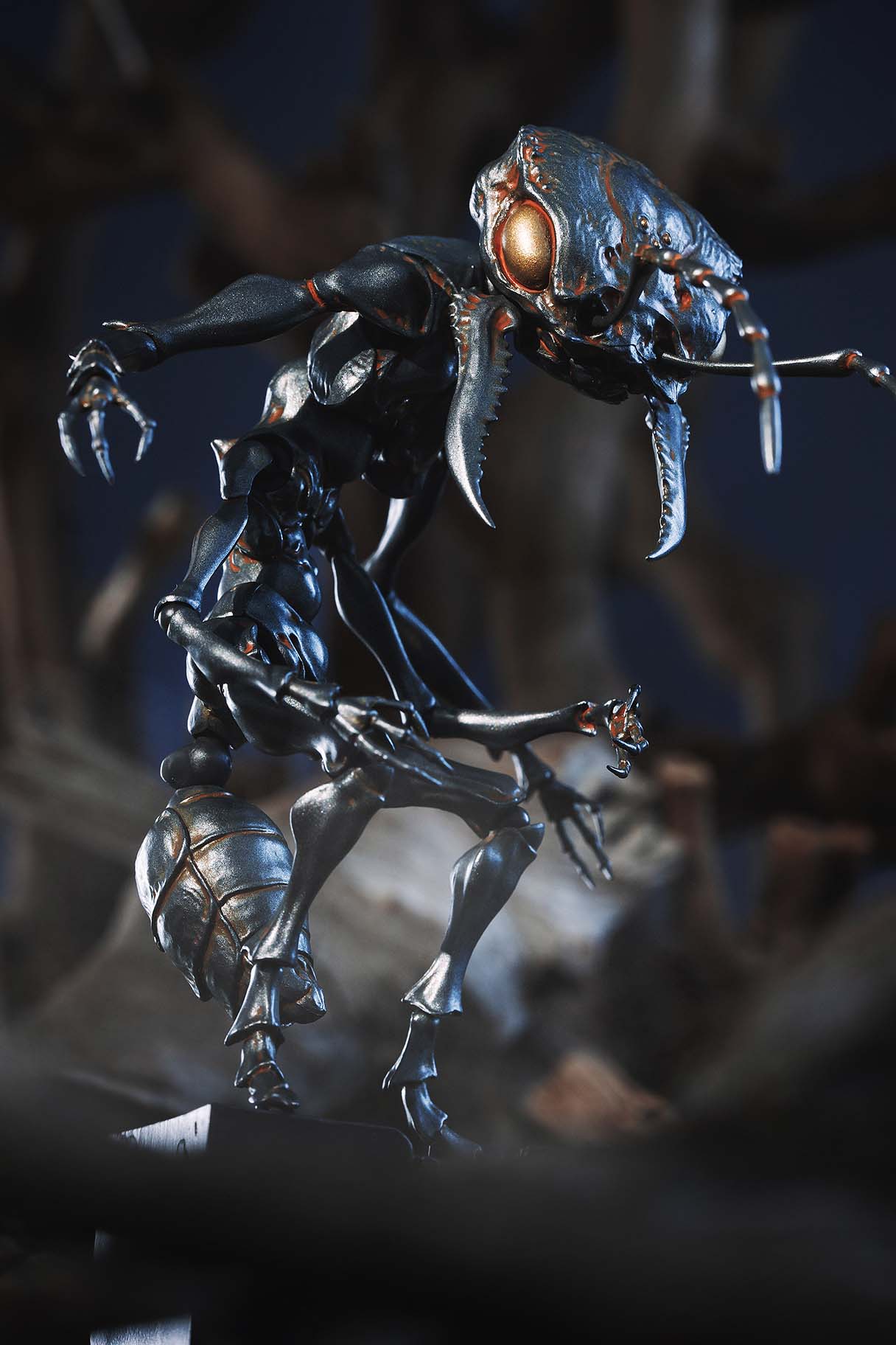 Snail Shell - Ant Soldier