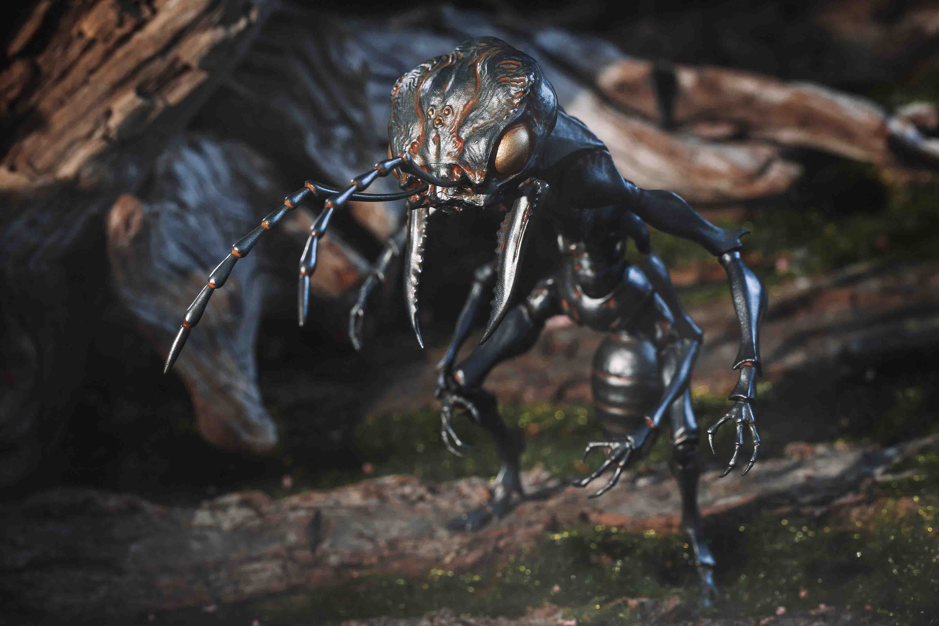 Snail Shell - Ant Soldier